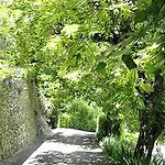 Logis Restaurant Le Plantevin 3* Propiac